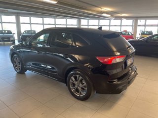 FORD Kuga 1.5 EcoBlue 120 CV aut. 2WD ST-Line X