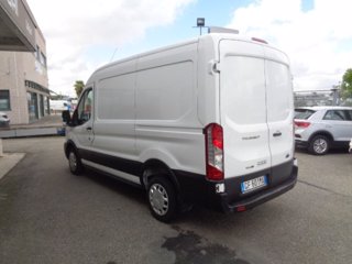 FORD Transit 350 2.0TDCi EcoBlue MHEV 130CV PM-TM Furgone Trend