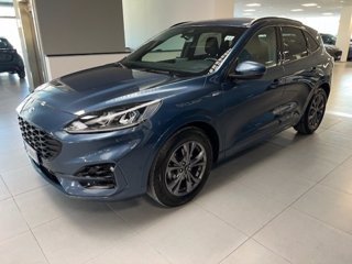 FORD Kuga 1.5 EcoBoost 150 CV 2WD ST-Line