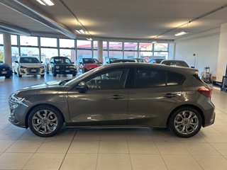 FORD Focus 1.5 EcoBlue 115 CV automatico 5p. ST-Line
