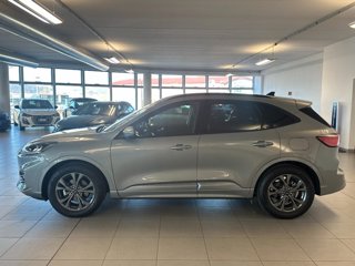 FORD Kuga 2.5 Full Hybrid 190 CV CVT 2WD ST-Line
