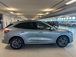 FORD Kuga 2.5 Full Hybrid 190 CV CVT 2WD ST-Line