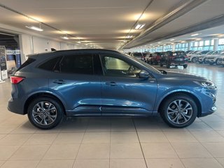FORD Kuga 2.5 Full Hybrid 190 CV CVT 2WD ST-Line