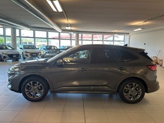 FORD Kuga 1.5 EcoBoost 150 CV 2WD ST-Line X