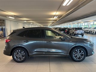 FORD Kuga 1.5 EcoBoost 150 CV 2WD ST-Line X
