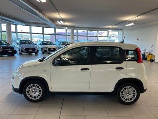FIAT Panda 1.0 FireFly S&S Hybrid Pandina