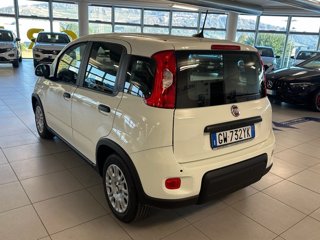 FIAT Panda 1.0 FireFly S&S Hybrid Pandina