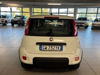 FIAT Panda 1.0 FireFly S&S Hybrid Pandina
