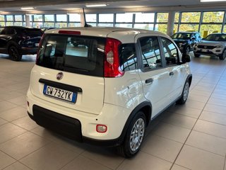 FIAT Panda 1.0 FireFly S&S Hybrid Pandina