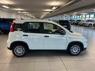 FIAT Panda 1.0 FireFly S&S Hybrid Pandina