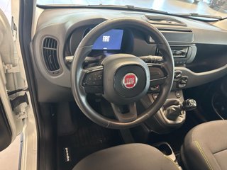 FIAT Panda 1.0 FireFly S&S Hybrid Pandina